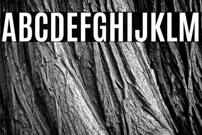 Antonio Bold Font examples