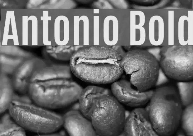 Antonio Bold Font examples