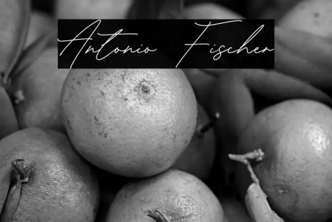 Antonio Fischer Font examples