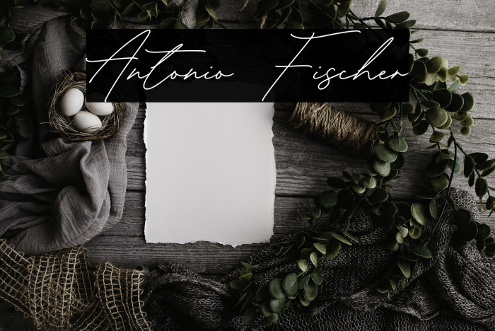 Antonio Fischer Example 3