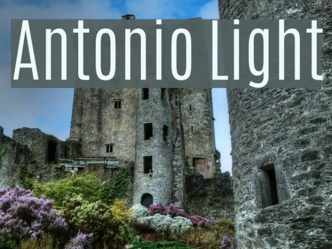 Antonio Light Example 1