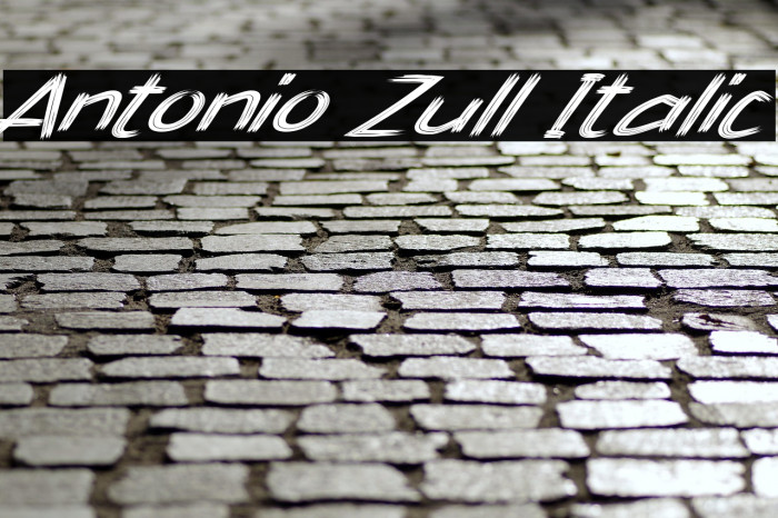 Antonio Zull Italic Example 2