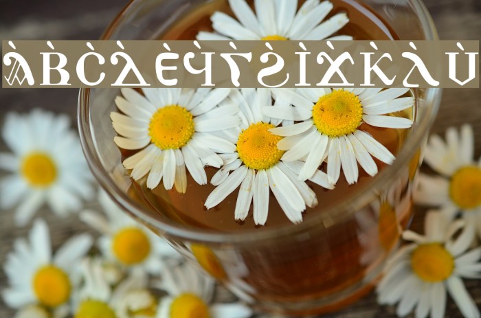 AntoniousJ Jencom Font examples