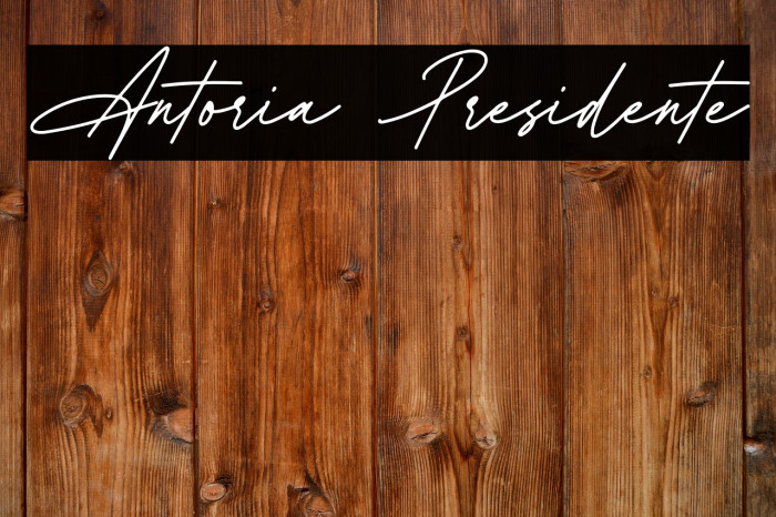 Antoria Presidente Example 3