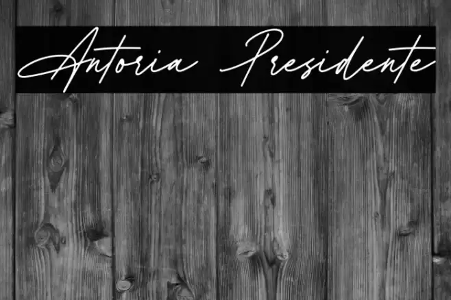 Antoria Presidente 字体 examples