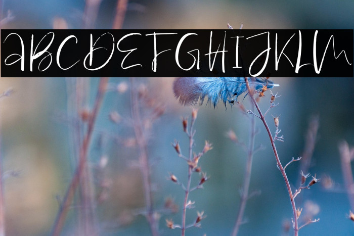 Antosan-Regular Example 3