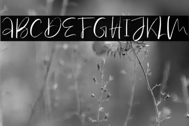 Antosan-Regular Font examples