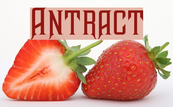 Antract Font examples