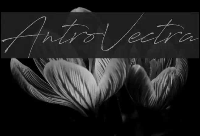 AntroVectra Font examples