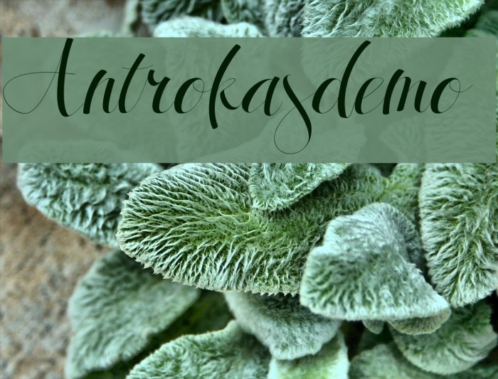 Antrokasdemo Font examples