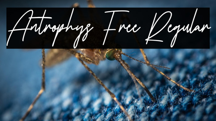 Antrophys Free Regular خط examples