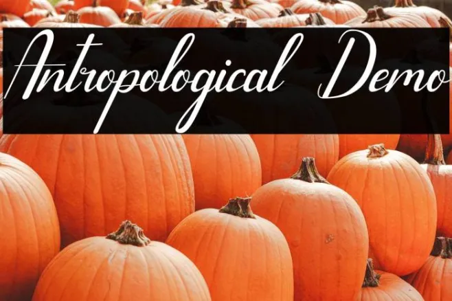 Antropological Demo Example 1