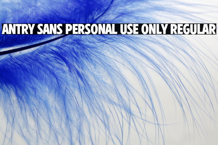 Antry Sans PERSONAL USE ONLY Regular Example 3