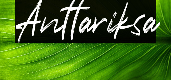 Anttariksa Example 3