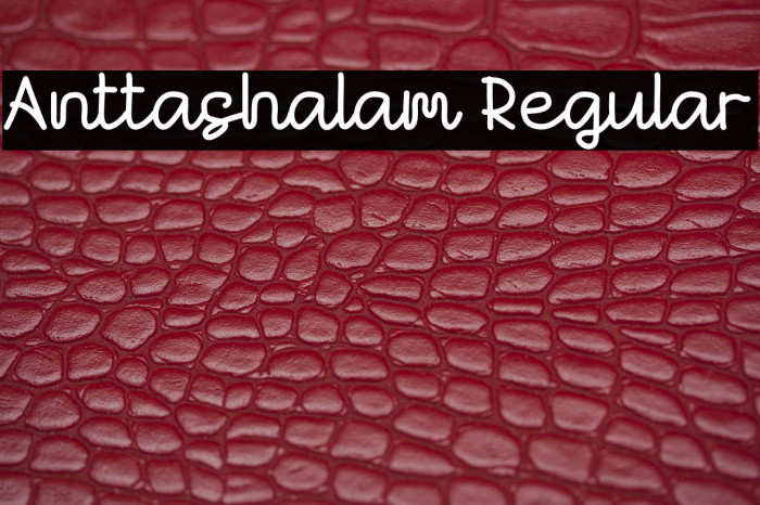 Anttashalam Regular Example 3