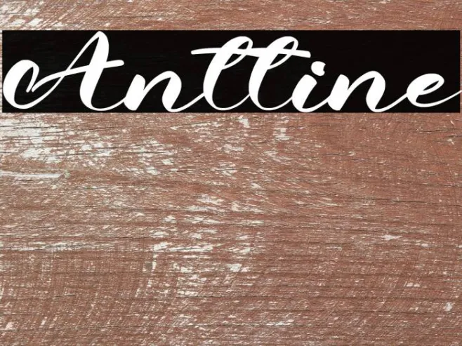 Anttine Example 1