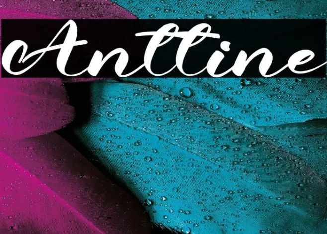 Anttine Example 2