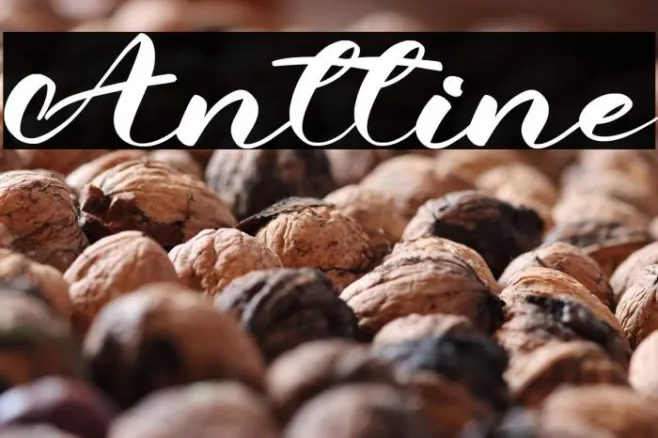 Anttine Example 3