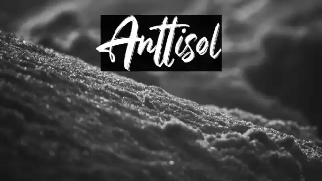 Anttisol Font examples