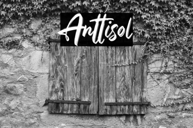 Anttisol Font examples