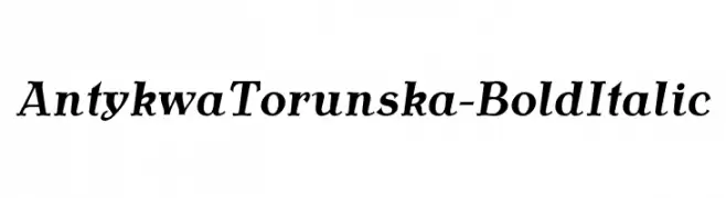 AntykwaTorunska-BoldItalic 