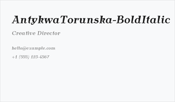 AntykwaTorunska-BoldItalic Business Card