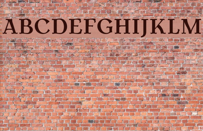 AntykwaTorunska-Bold Font examples