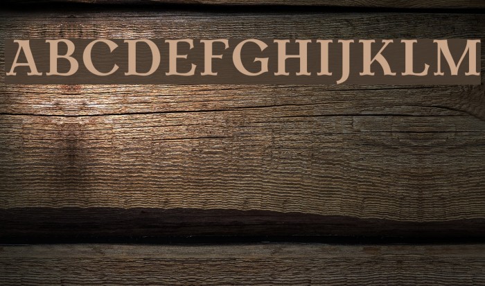 AntykwaTorunska-Bold Font examples