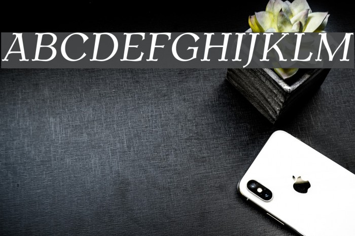 AntykwaTorunska-Italic フォント examples