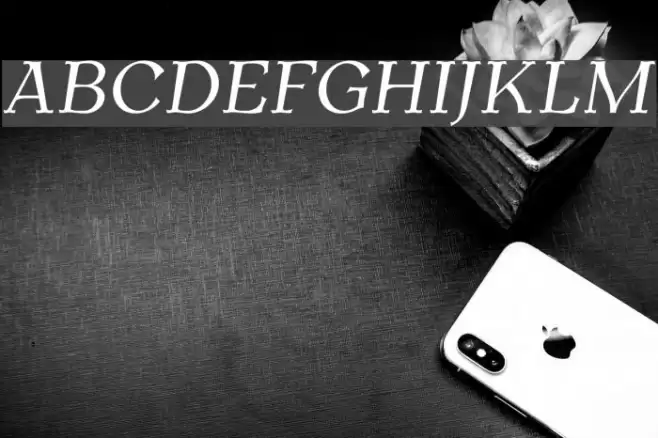 AntykwaTorunska-Italic フォント examples