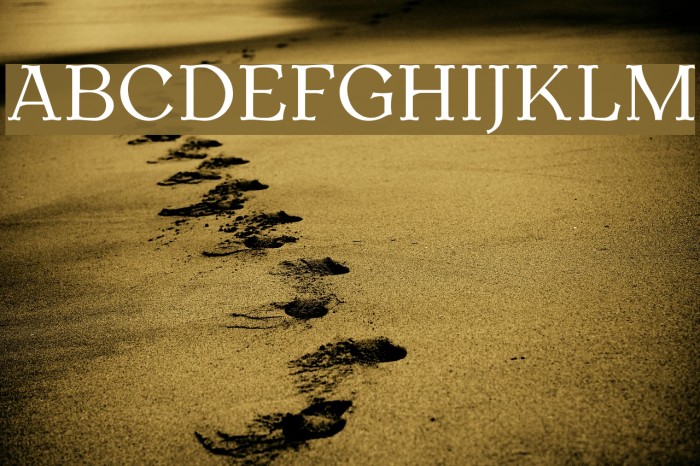 AntykwaTorunska-Regular Font examples