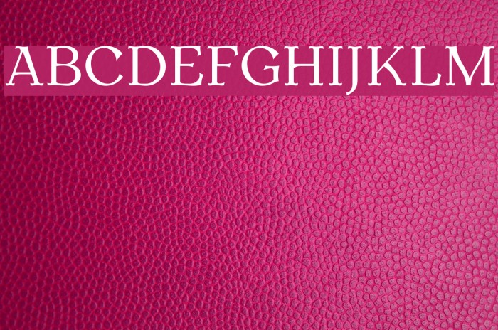AntykwaTorunska-Regular Font examples