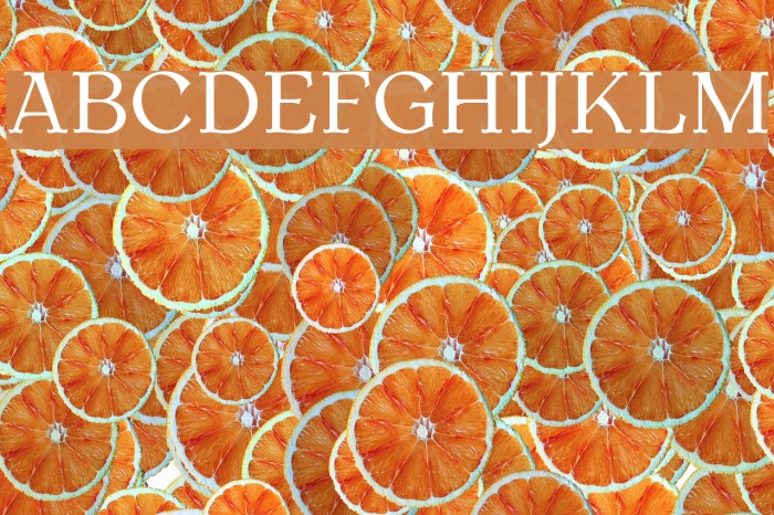 AntykwaTorunska-Regular Font examples
