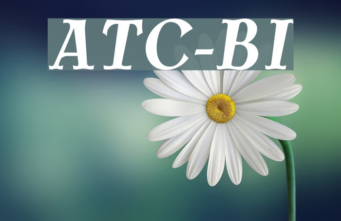 AntykwaTorunskaCond-BoldItalic Font examples