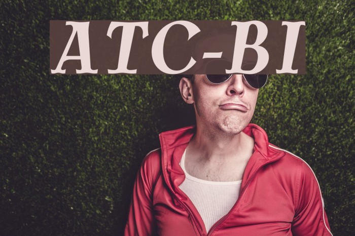AntykwaTorunskaCond-BoldItalic Font examples