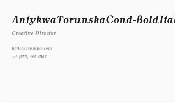 AntykwaTorunskaCond-BoldItalic Business Card