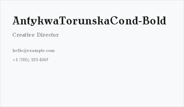 AntykwaTorunskaCond-Bold Business Card