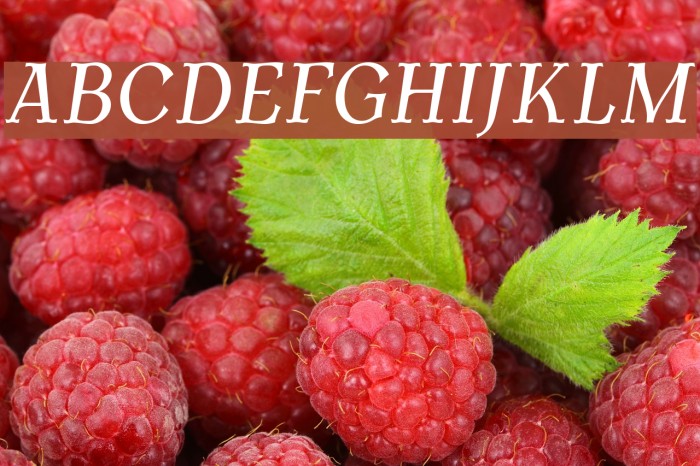 AntykwaTorunskaCond-Italic Font examples