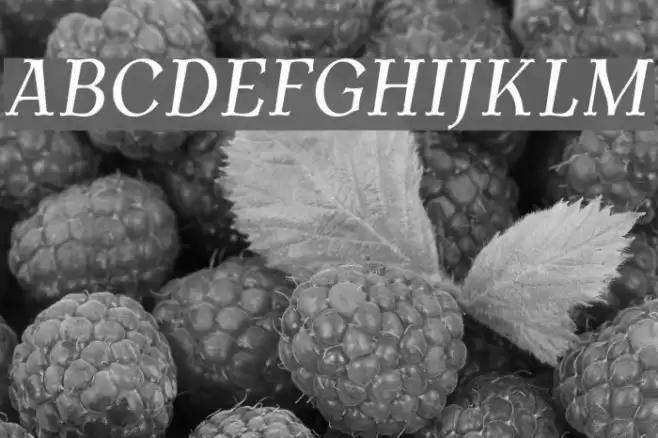 AntykwaTorunskaCond-Italic フォント examples