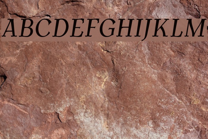 AntykwaTorunskaCond-Italic Font examples