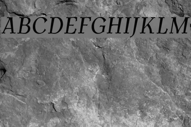 AntykwaTorunskaCond-Italic フォント examples