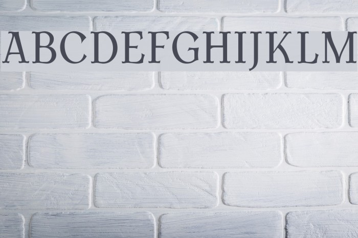 AntykwaTorunskaCond-Regular Font examples