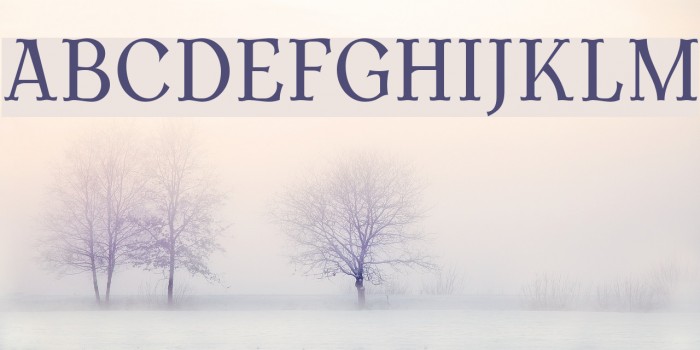 AntykwaTorunskaCond-Regular Font examples