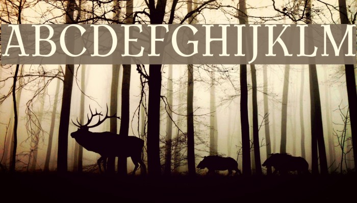AntykwaTorunskaCond-Regular Font examples