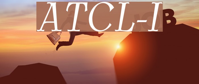AntykwaTorunskaCondLight-Italic Font examples