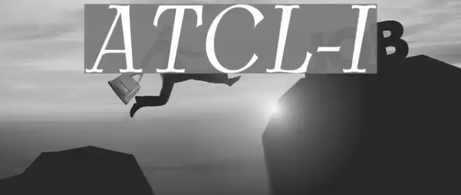 AntykwaTorunskaCondLight-Italic Schriftart examples
