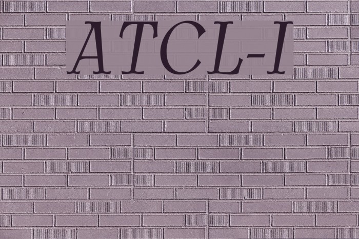 AntykwaTorunskaCondLight-Italic Font examples