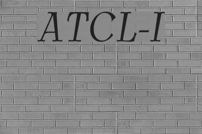 AntykwaTorunskaCondLight-Italic Schriftart examples