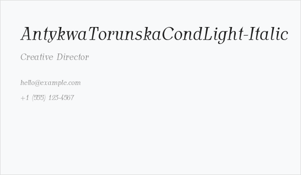 AntykwaTorunskaCondLight-Italic Business Card