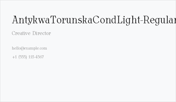 AntykwaTorunskaCondLight-Regular Business Card